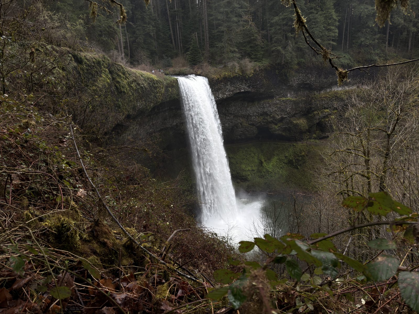 Oregon Favorites #02