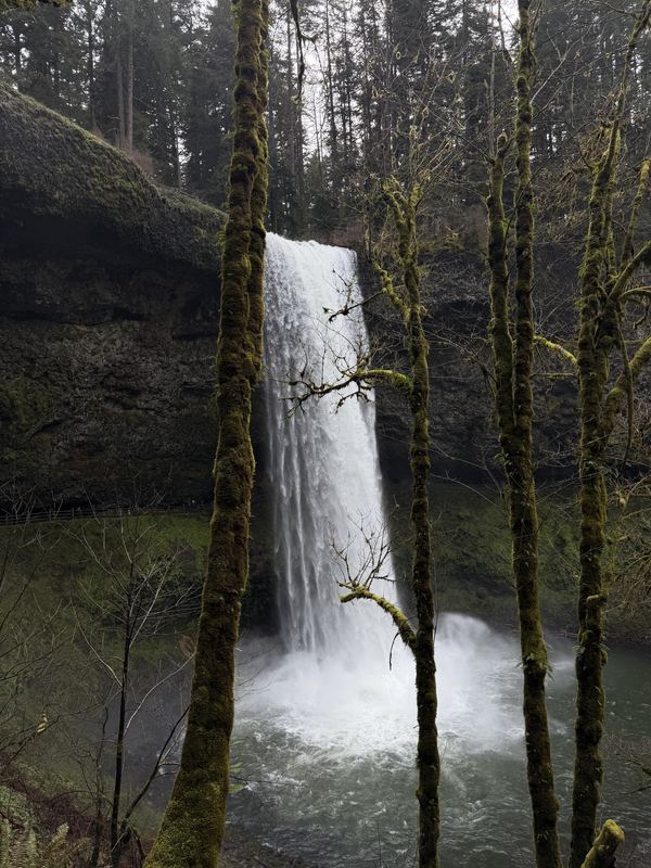 Oregon Favorites #03