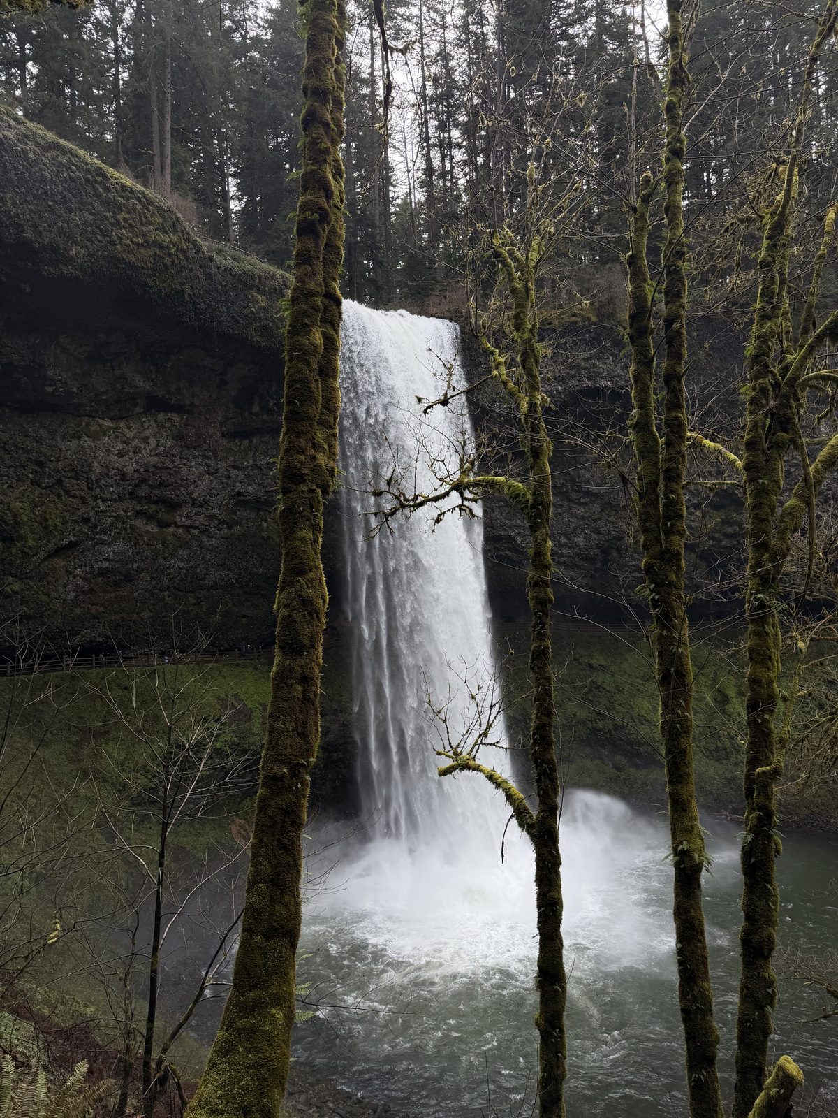 Oregon Favorites #03
