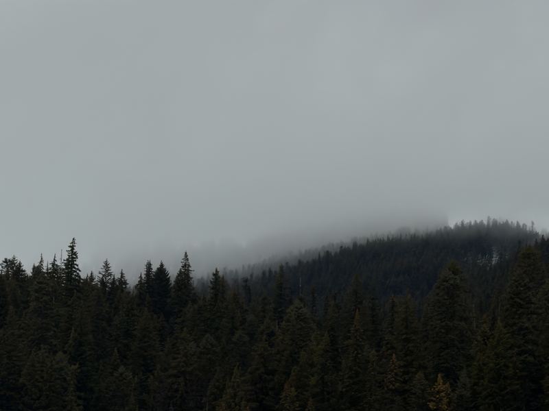 Oregon Favorites #04