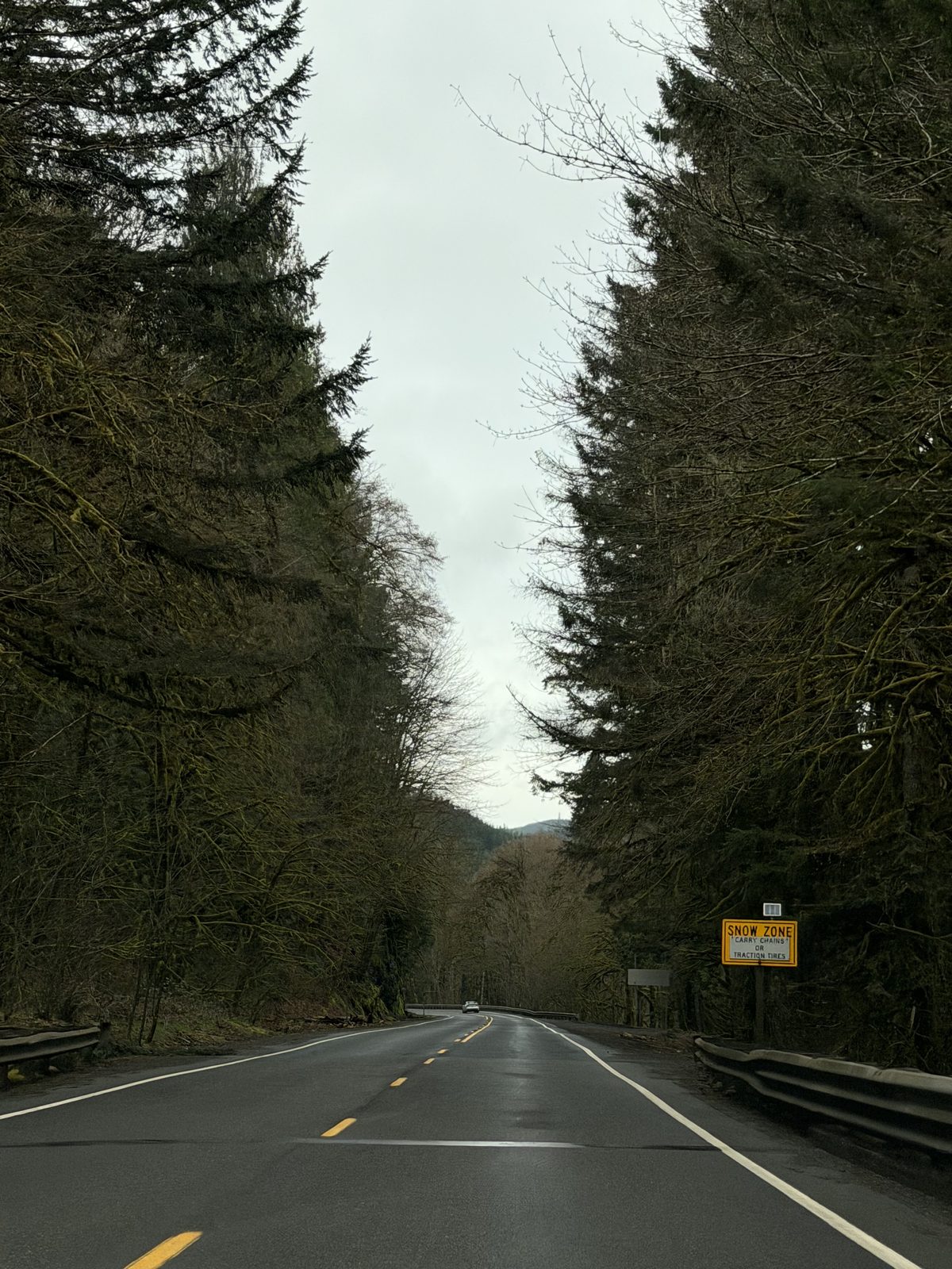 Oregon Favorites #05