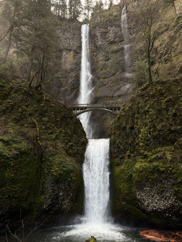Oregon Favorites #06