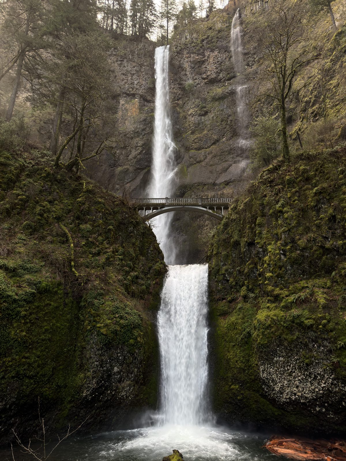Oregon Favorites #06