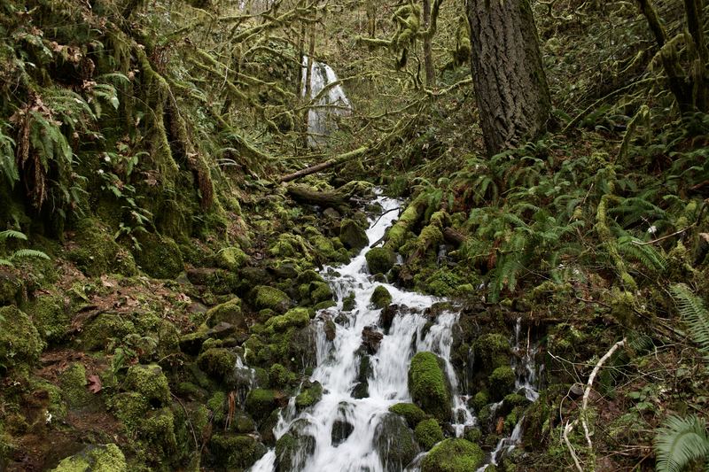 Oregon Favorites #10