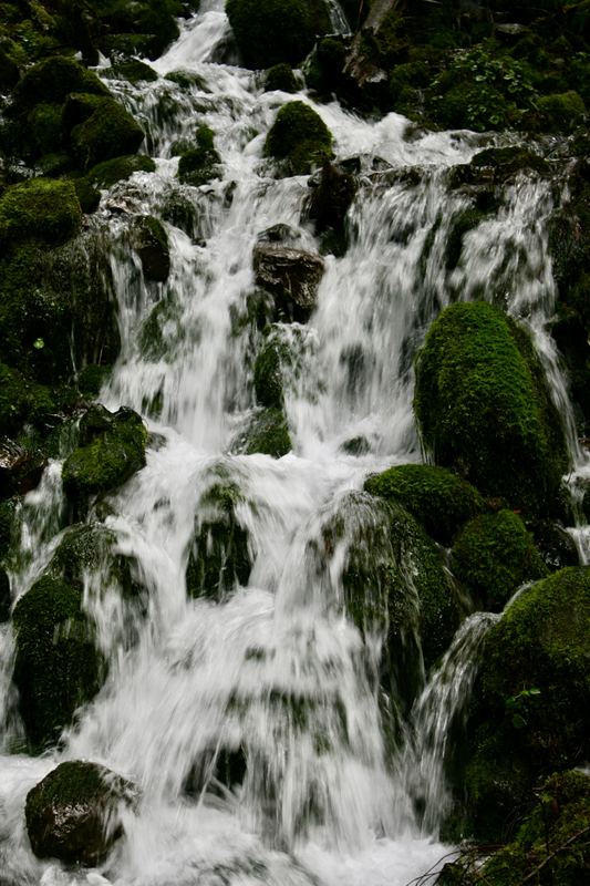 Oregon Favorites #12