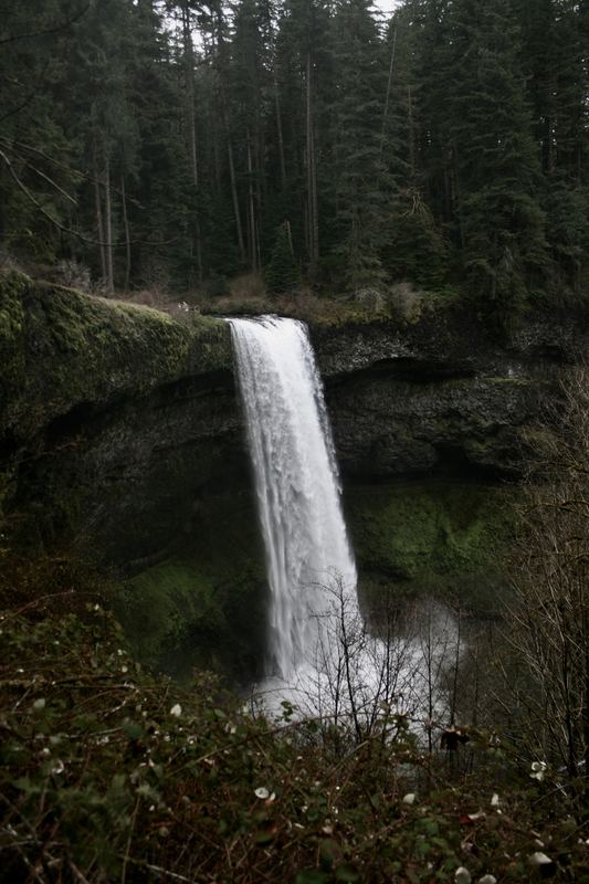 Oregon Favorites #13