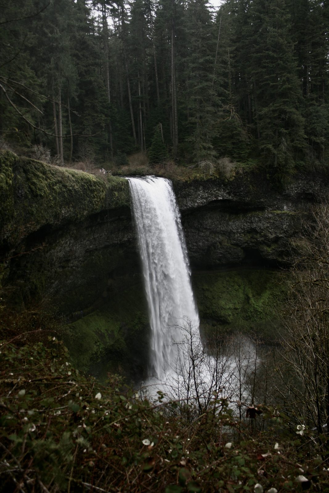 Oregon Favorites #13