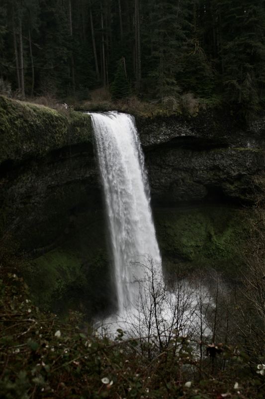Oregon Favorites #14