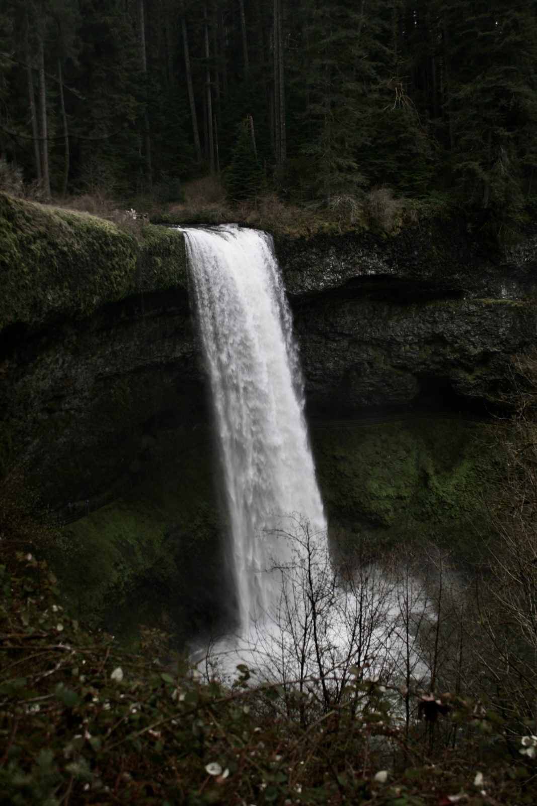 Oregon Favorites #14