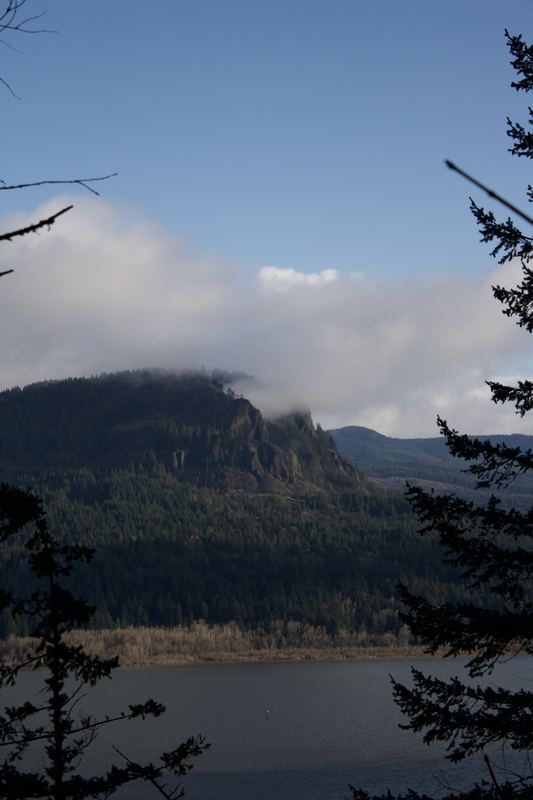 Oregon Landscape #01