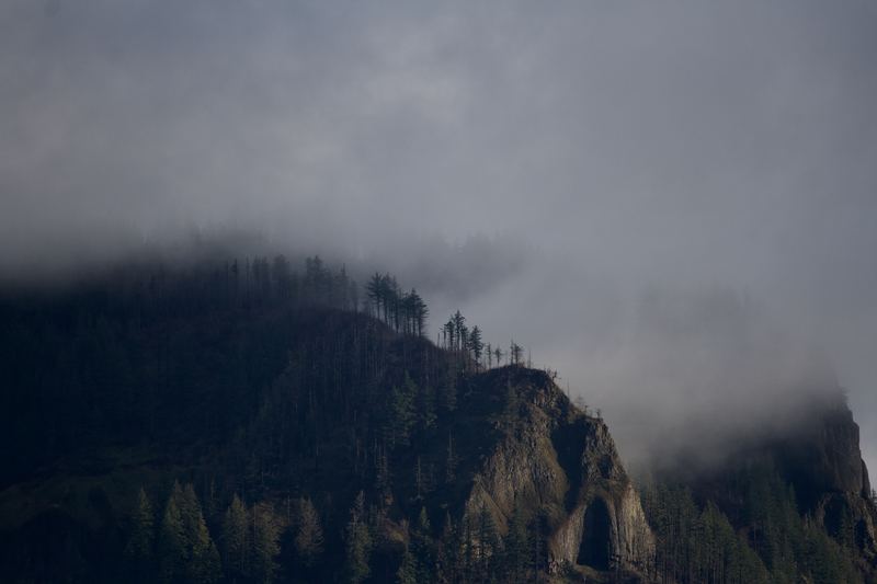 Oregon Landscape #04