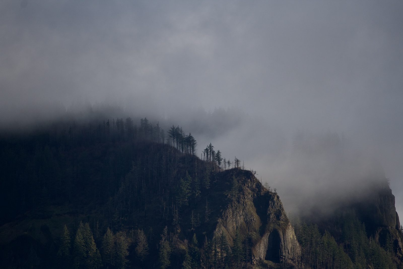 Oregon Landscape #04