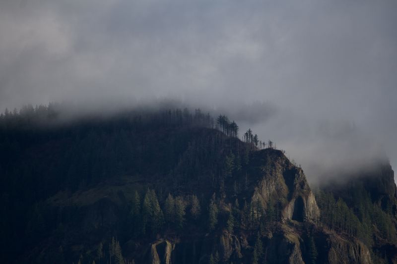 Oregon Landscape #05