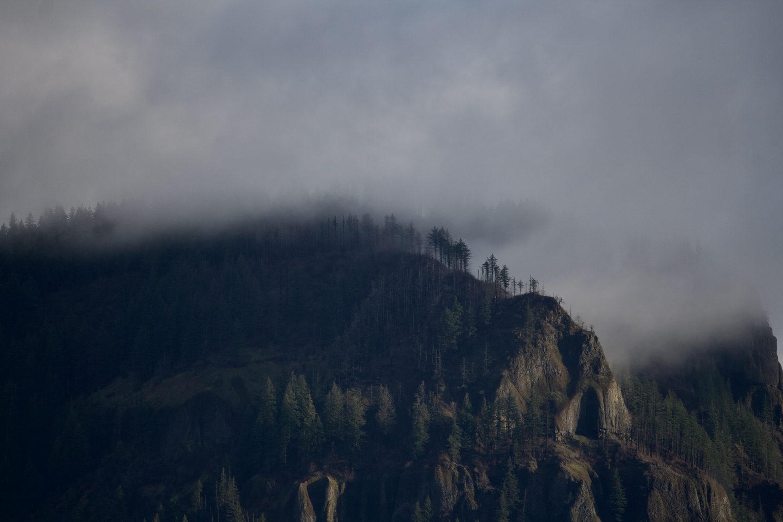 Oregon Landscape #05