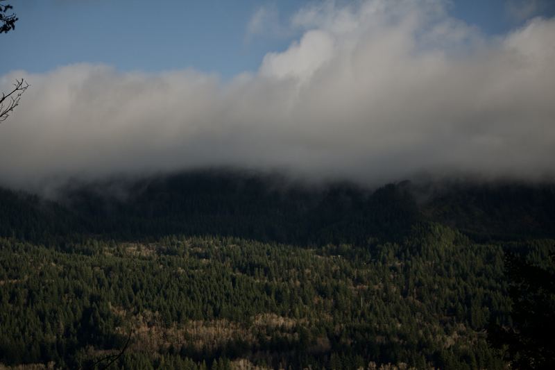 Oregon Landscape #06