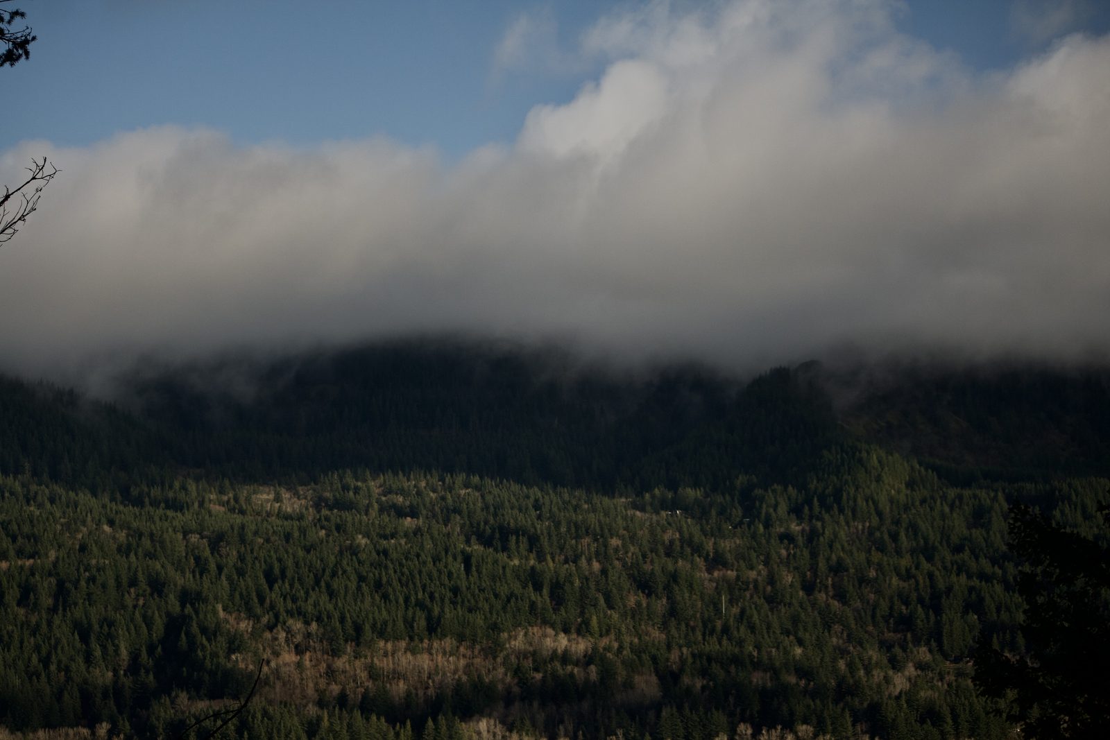 Oregon Landscape #06