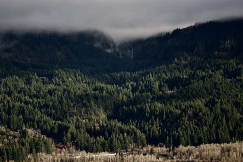 Oregon Landscape #08