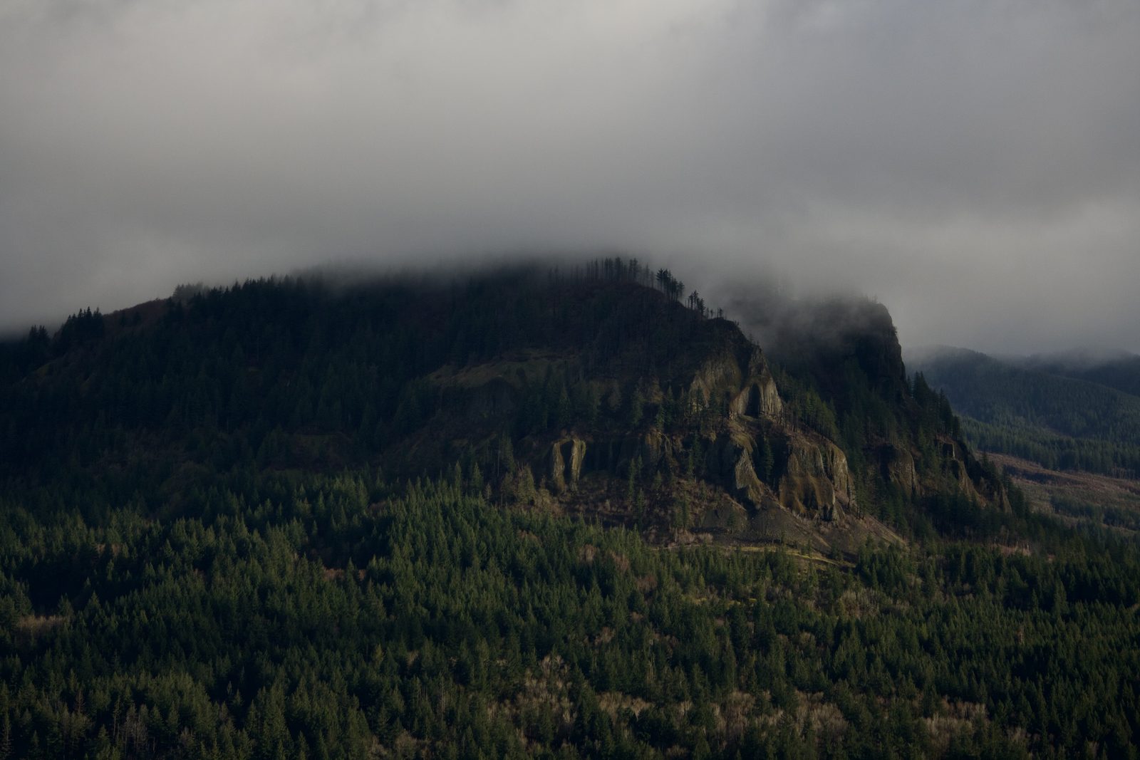 Oregon Landscape #09