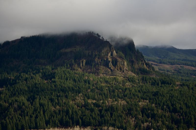 Oregon Landscape #10