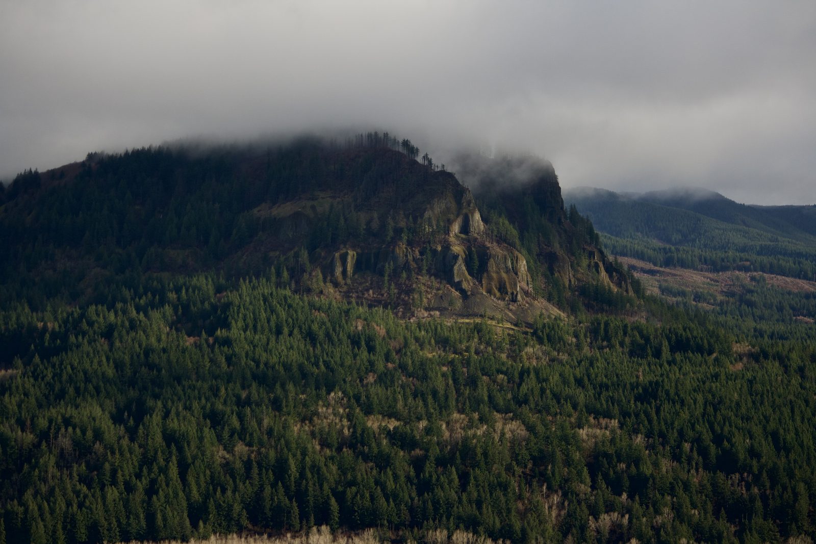 Oregon Landscape #10