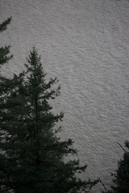 Oregon Landscape #11