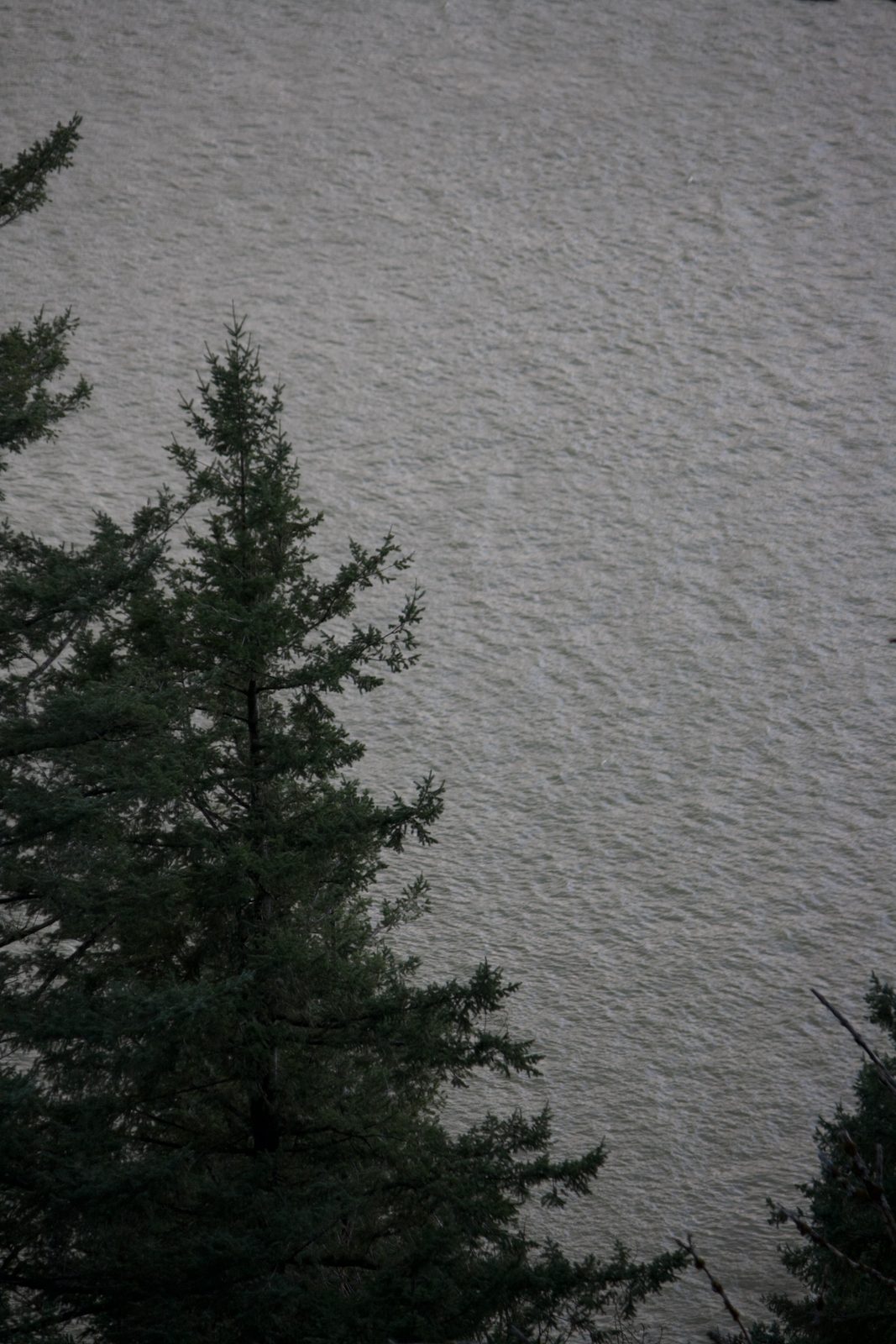 Oregon Landscape #11