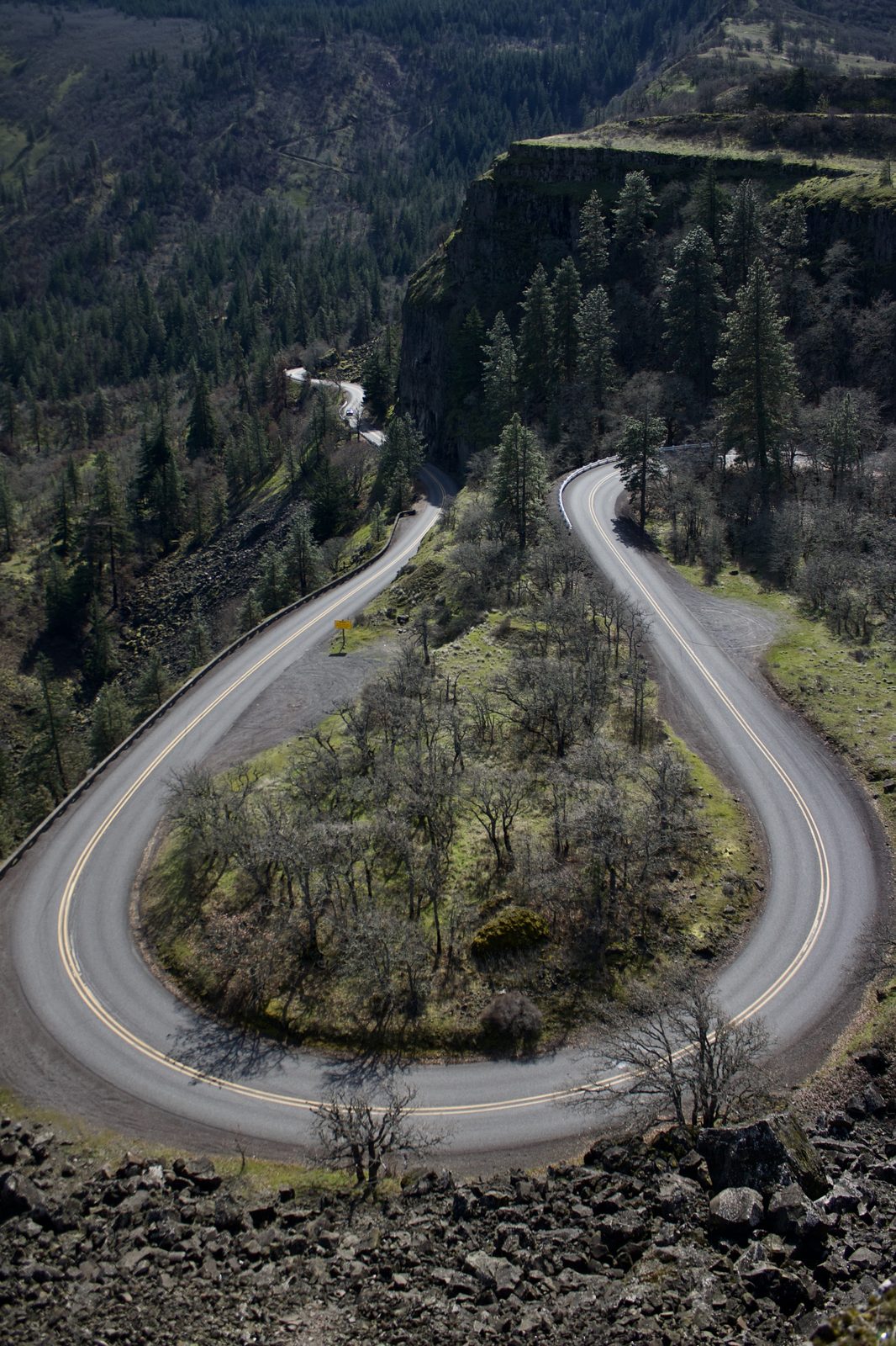 Oregon Landscape #12