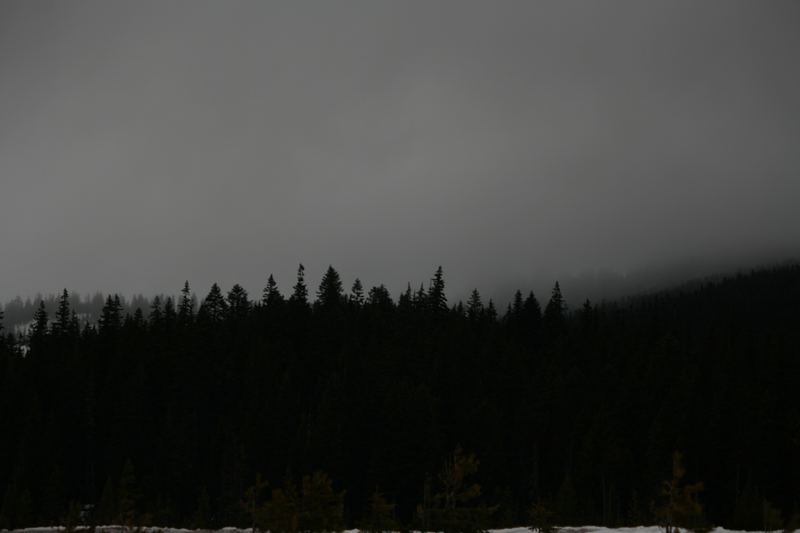 Oregon Landscape #13