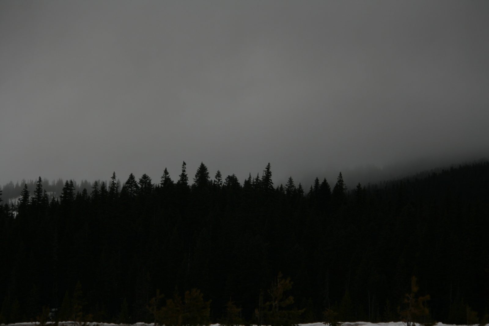 Oregon Landscape #13