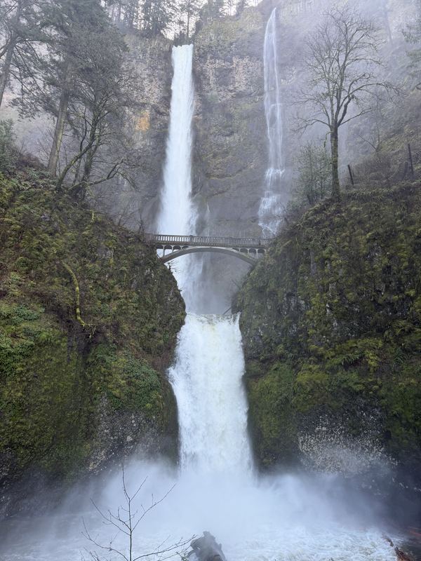 Oregon Waterfalls #01