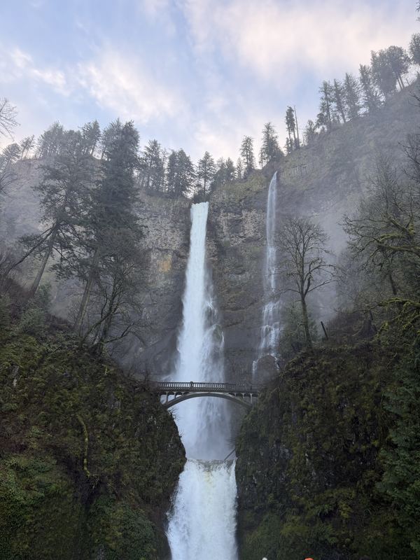 Oregon Waterfalls #03