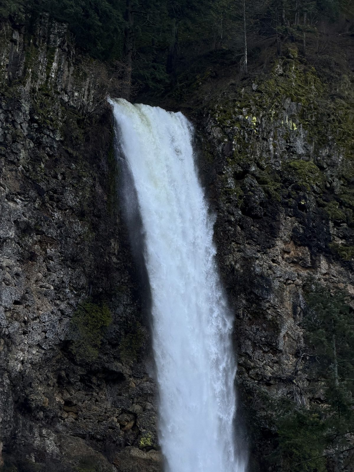 Oregon Waterfalls #06