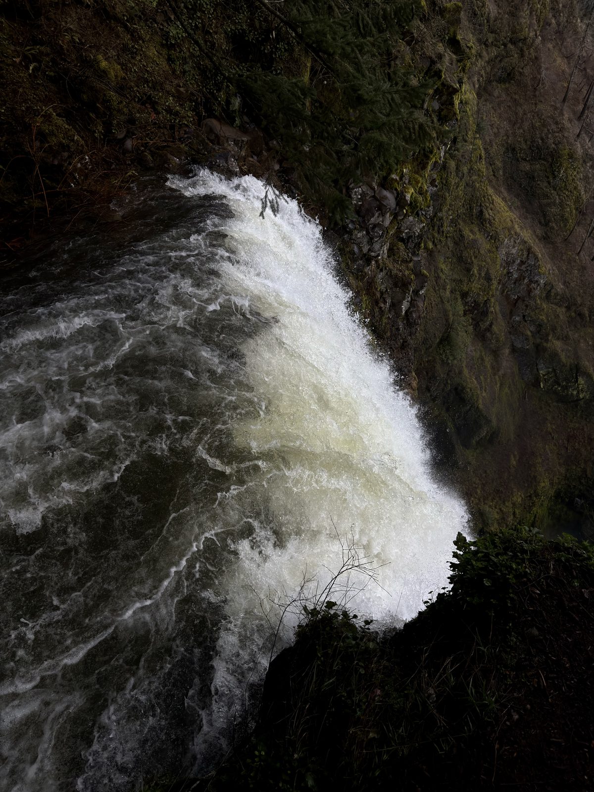 Oregon Waterfalls #09
