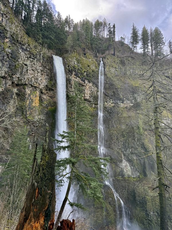 Oregon Waterfalls #10