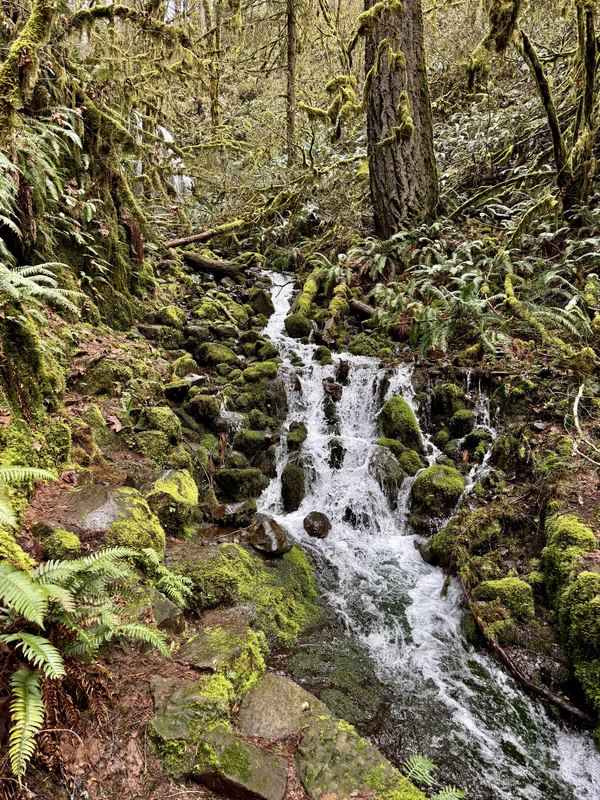Oregon Waterfalls #11