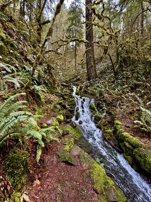 Oregon Waterfalls #12