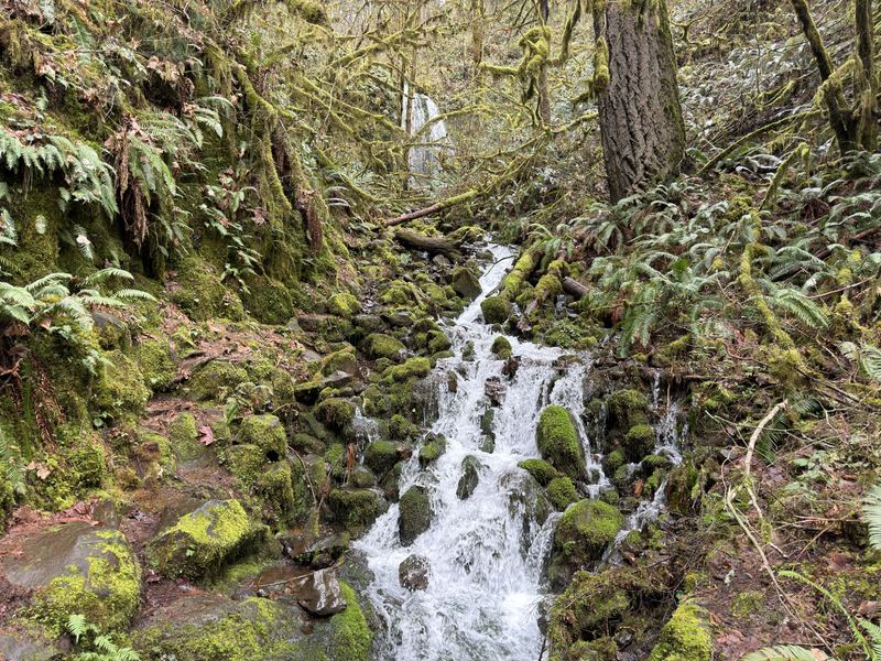 Oregon Waterfalls #13