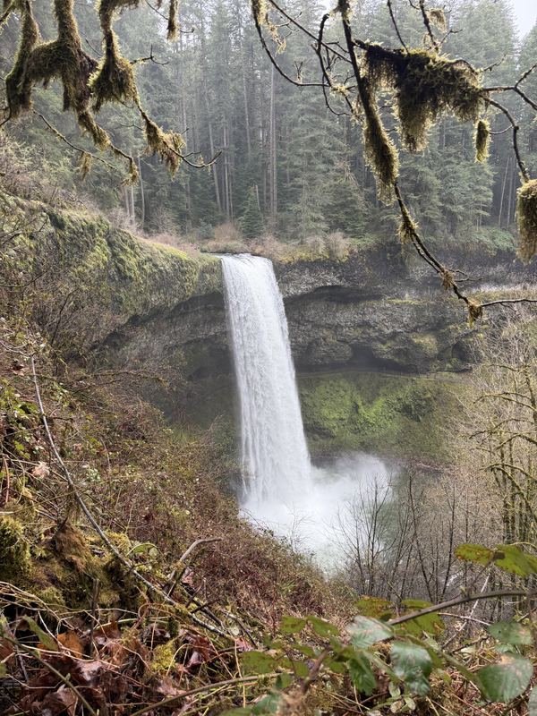 Oregon Waterfalls #14