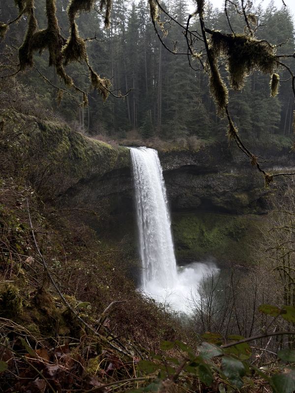 Oregon Waterfalls #15